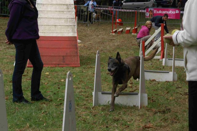 foire-haricots 2011-09-17et18